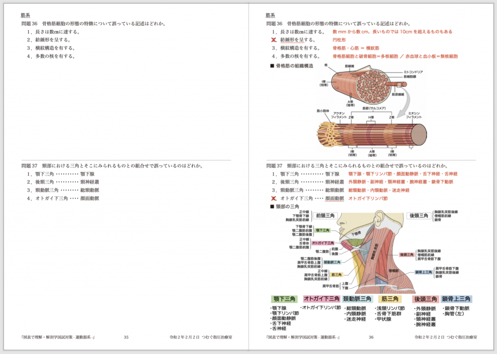 終了 解剖学運動器系 セミナー開催します 相模大野 つむぐ指圧治療室 指圧 マインドフルネス瞑想 トークセン