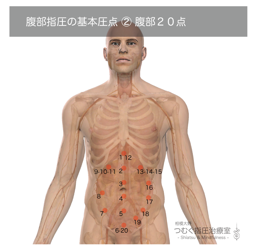 腹部指圧の基本圧点